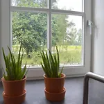 In A Atmosphere With Sauna In * Swolgen