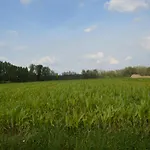 In A Atmosphere With Sauna In Prázdninový dům