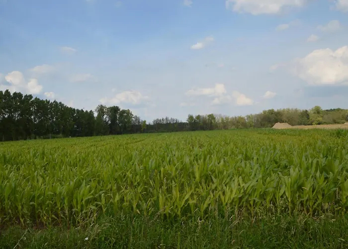 Country House In A Hotel Atmosphere With Sauna In Swolgen Holiday home